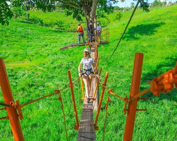 Punta Cana Zipline - 8 lines and a suspenseful hanging bridge